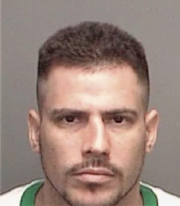 Delfino Morgadocarrizal, - Pinellas County, FL 