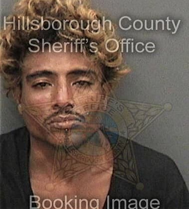 Luis Reyes, - Hillsborough County, FL 