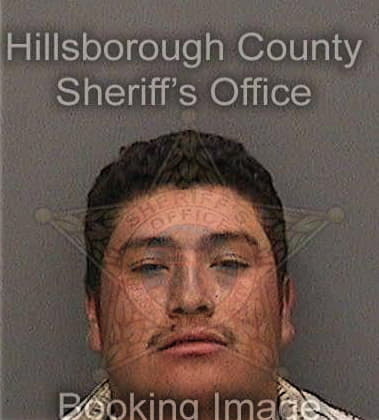 Alexander Solano, - Hillsborough County, FL 