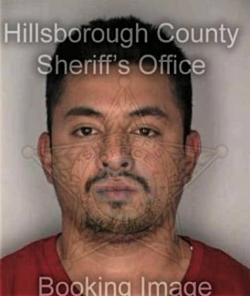 Peter Torres, - Hillsborough County, FL 