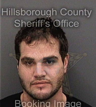 Matthew Enchautegui, - Hillsborough County, FL 