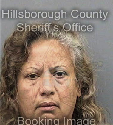 Cara Hayes, - Hillsborough County, FL 