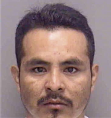 Carlos Rodriguez, - Lee County, FL 