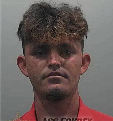 Thomas Direnzo, - Lee County, FL 