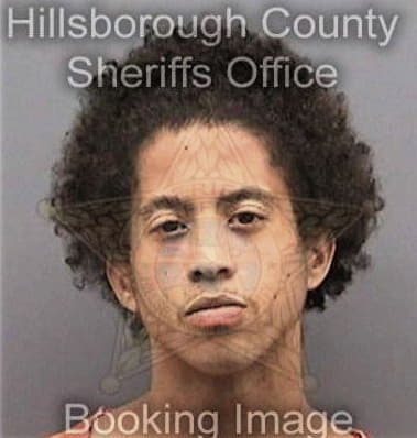 Erick Marcos, - Hillsborough County, FL 