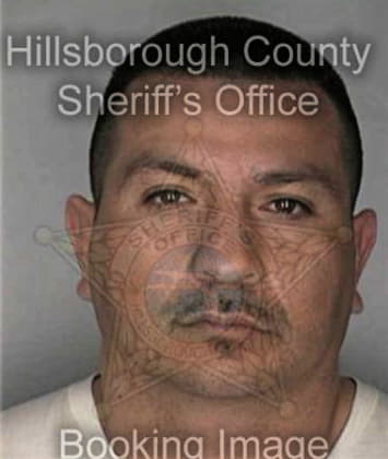 Dane McGillivray - Hillsborough County, FL 