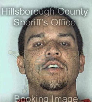 Robert Austin, - Hillsborough County, FL 