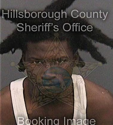 Aaron Bradford - Hillsborough County, FL 