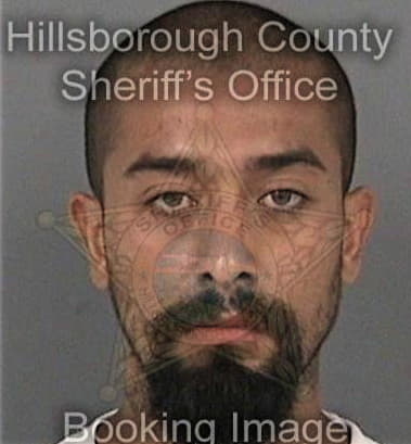 Robert Carlton, - Hillsborough County, FL 