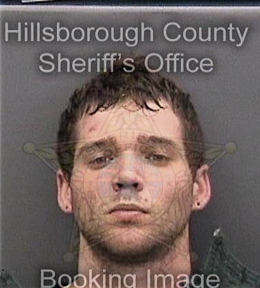 Luis Delaespriellavaldes, - Hillsborough County, FL 