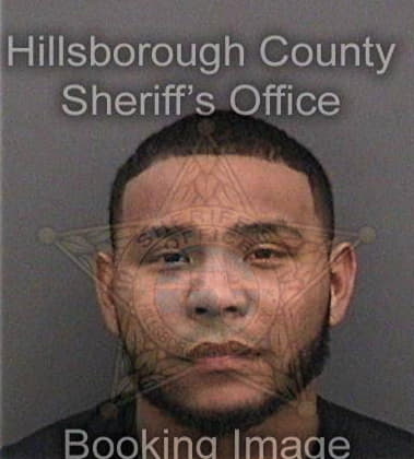 Caleb Desulme, - Hillsborough County, FL 