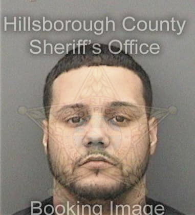 Rickey Johnson, - Hillsborough County, FL 