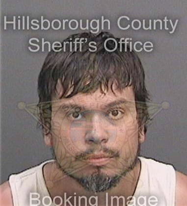 Volkan Kargin, - Hillsborough County, FL 