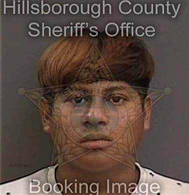 Caleb Alvarez, - Hillsborough County, FL 