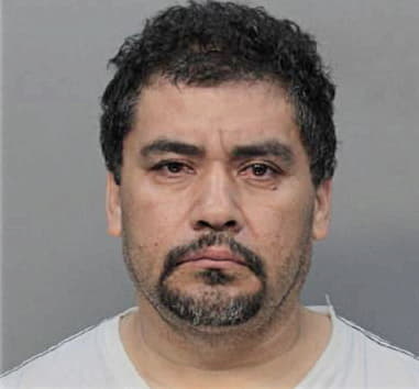 Carlos Castellanos-Gongorra, - Dade County, FL 