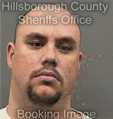 Delmer Cruzrosales, - Hillsborough County, FL 