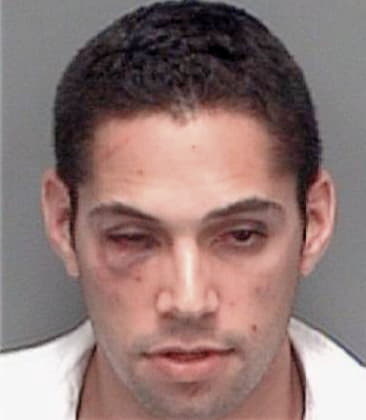 Carlos Lopezhernandez, - Pinellas County, FL 