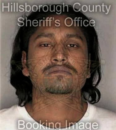 Kenneth Mendoza - Hillsborough County, FL 