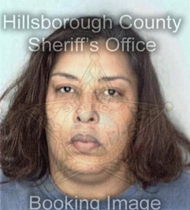 Lari Menendez - Hillsborough County, FL 