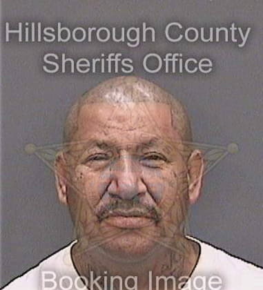 John Mihoch - Hillsborough County, FL 