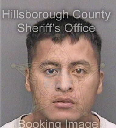 Michael Milcarek - Hillsborough County, FL 