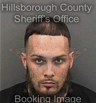 Victor Ordaz-Garcia, - Hillsborough County, FL 