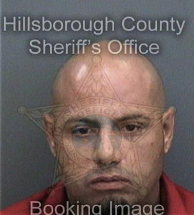 Reginald Preston, - Hillsborough County, FL 