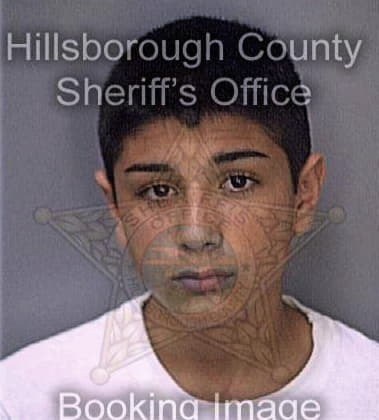 Anthony Smith, - Hillsborough County, FL 