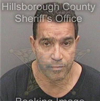 Donald Staggs - Hillsborough County, FL 