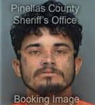 Nathaniel Arzola, - Pinellas County, FL 