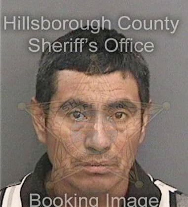 Donald Berg, - Hillsborough County, FL 