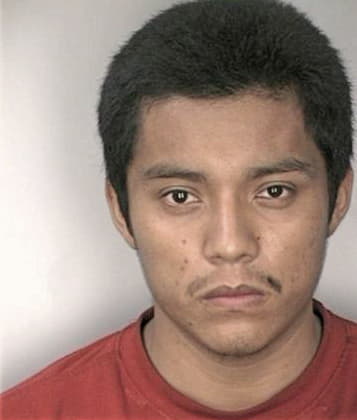 Michael Bolick - Hillsborough County, FL 