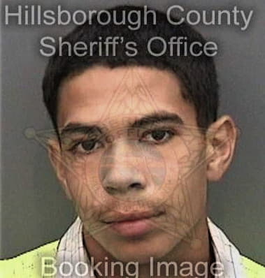 Cedrick Brown, - Hillsborough County, FL 