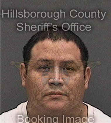 Murray McAnany - Hillsborough County, FL 