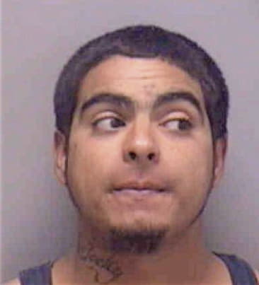 Ronaldo Miguel, - Lee County, FL 