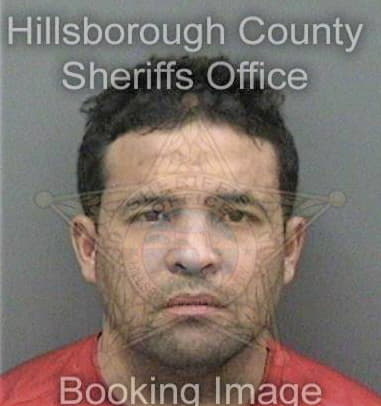 Juan Panellmorales, - Hillsborough County, FL 