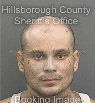 Fermin Pelcastregomez, - Hillsborough County, FL 