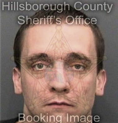 Flavio Velazquezmartinez, - Hillsborough County, FL 