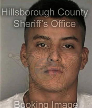 Jesus Aquino, - Hillsborough County, FL 