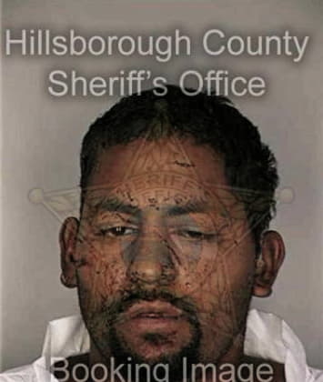 Raymond Bird - Hillsborough County, FL 