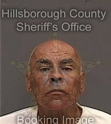 Williams Debrokbisset, - Hillsborough County, FL 