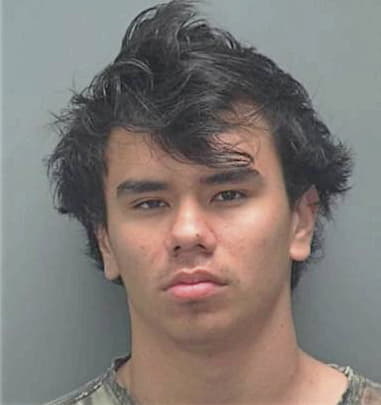 Elio Fernandez-Trueba, - Lee County, FL 