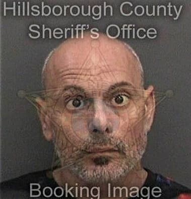 Mohanad Ibrahim, - Hillsborough County, FL 