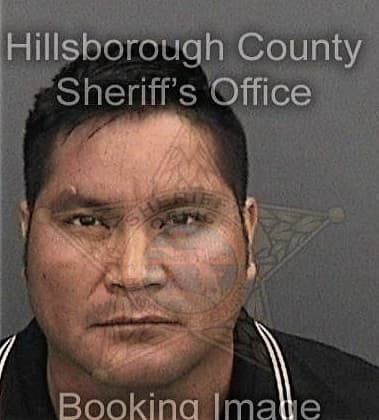 Jovany Irlanda, - Hillsborough County, FL 