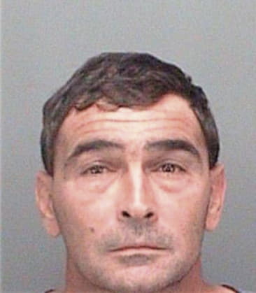 William Pelno, - Pinellas County, FL 