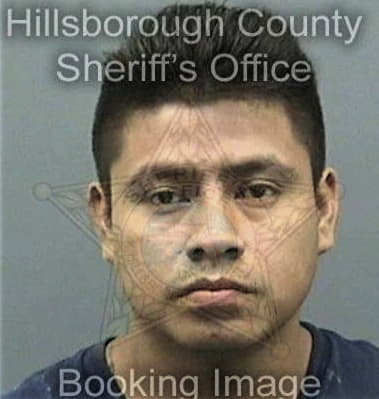 Mario Ruanocanales, - Hillsborough County, FL 