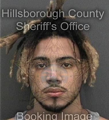 Mitchell Clifford - Hillsborough County, FL 