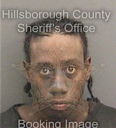 Michael Devine, - Hillsborough County, FL 