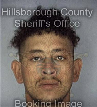 Francisco Maurell - Hillsborough County, FL 