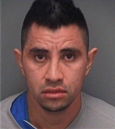 Rafael Olivierigonzalez, - Pinellas County, FL 